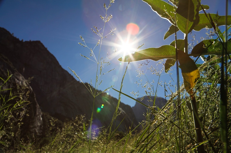 yosemite-valley-morning_4825577853_o
